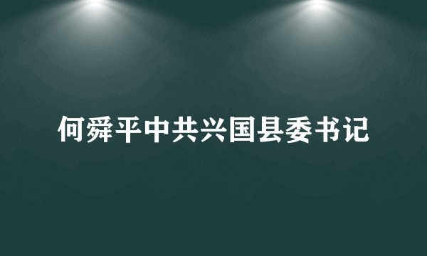 何舜平中共兴国县委书记