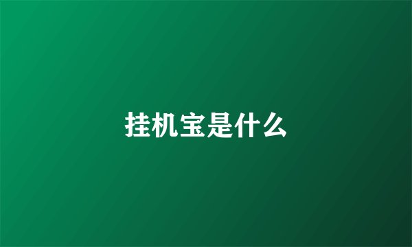 挂机宝是什么