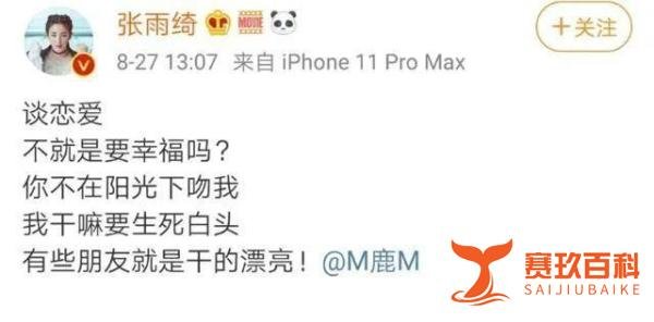 杨天真谈艺人恋情，张雨绮蹭热度人设崩塌，鹿晗无辜躺枪？