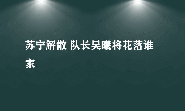 苏宁解散 队长吴曦将花落谁家