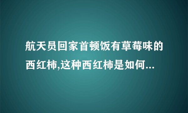 航天员回家首顿饭有草莓味的西红柿,这种西红柿是如何培育出来的?