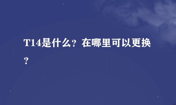 T14是什么？在哪里可以更换？