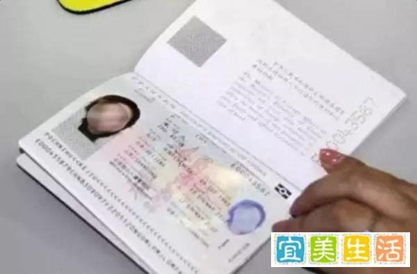 那些年被熊孩子毁过的护照
