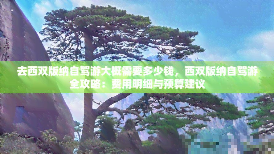 去西双版纳大概需要多少钱