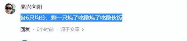笑死!90后夫妻离婚打官司争13只乌龟归属,笑死在网友评论区!