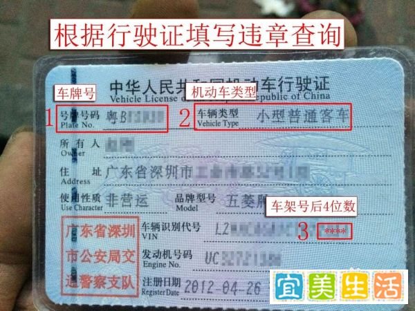 网上如何查询交通违章并交罚款？（深圳）