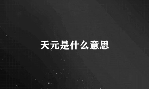 天元是什么意思