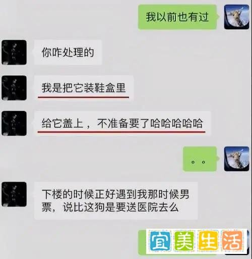 硕士论文研究情趣内衣引热议与张恒语音聊天记录一样