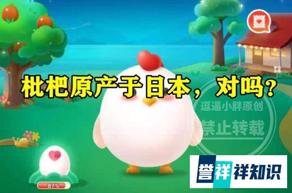 蚂蚁新村枇杷原产于日本答案 枇杷原产于日本对不对？