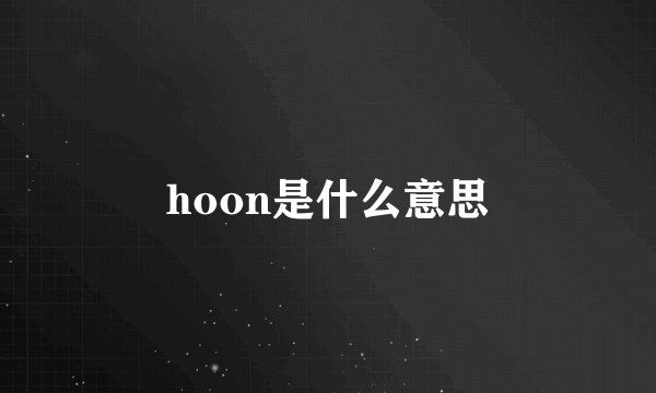hoon是什么意思