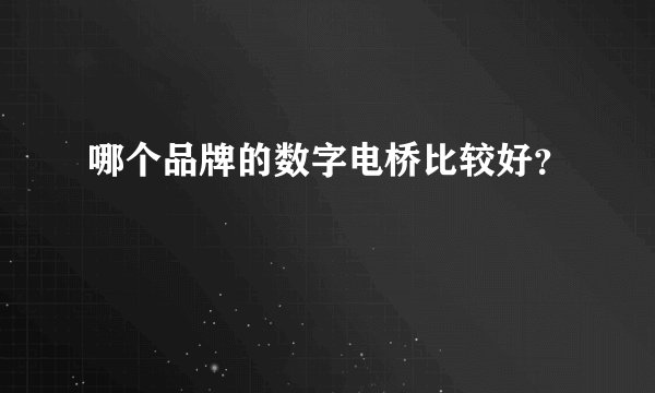 哪个品牌的数字电桥比较好？