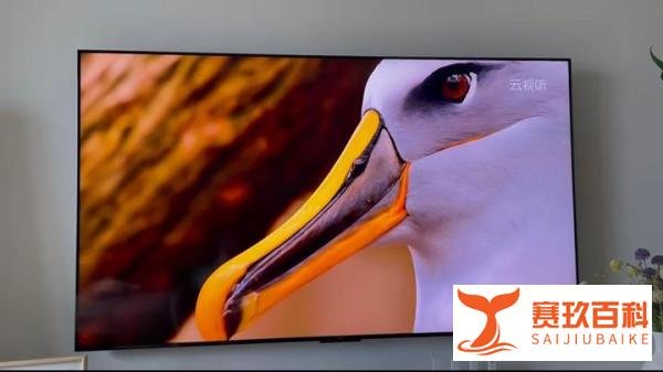 家庭影院该怎么打造?用什么电视效果好?2023高画质电视TCL Q10G Pro实测推荐