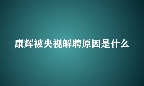 康辉被央视解聘原因是什么