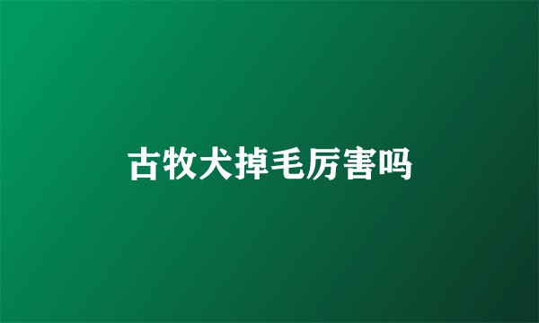 古牧犬掉毛厉害吗