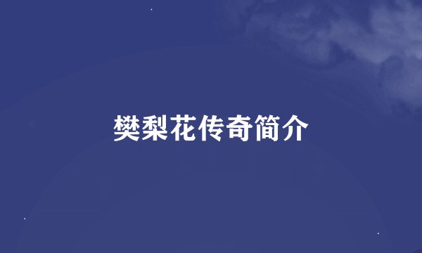 樊梨花传奇简介