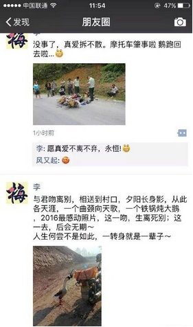 网红鹅已被宰杀 两只鹅青梅竹马一起长大