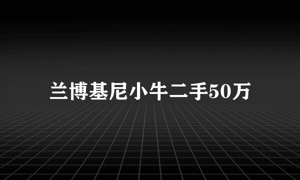 兰博基尼小牛二手50万