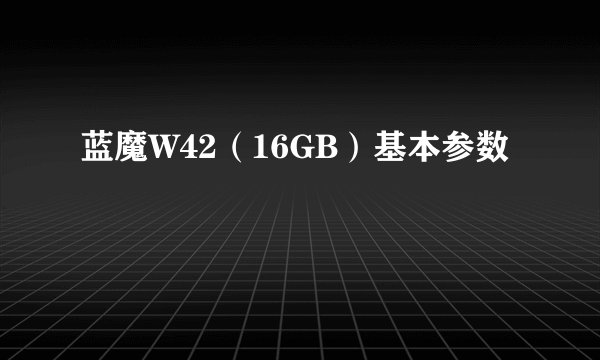 蓝魔W42（16GB）基本参数