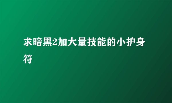 求暗黑2加大量技能的小护身符
