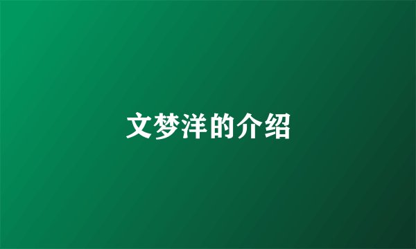 文梦洋的介绍