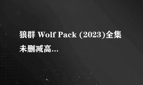 狼群 Wolf Pack (2023)全集未删减高清版免费下载