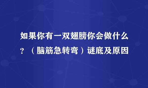 如果你有一双翅膀你会做什么？（脑筋急转弯）谜底及原因