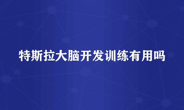 特斯拉大脑开发训练有用吗