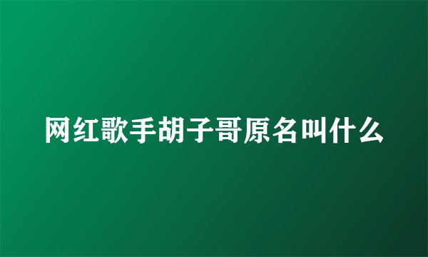 网红歌手胡子哥原名叫什么