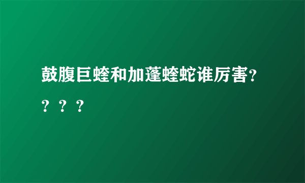 鼓腹巨蝰和加蓬蝰蛇谁厉害？？？？