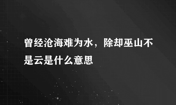 曾经沧海难为水，除却巫山不是云是什么意思