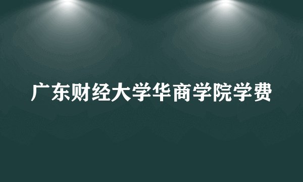 广东财经大学华商学院学费