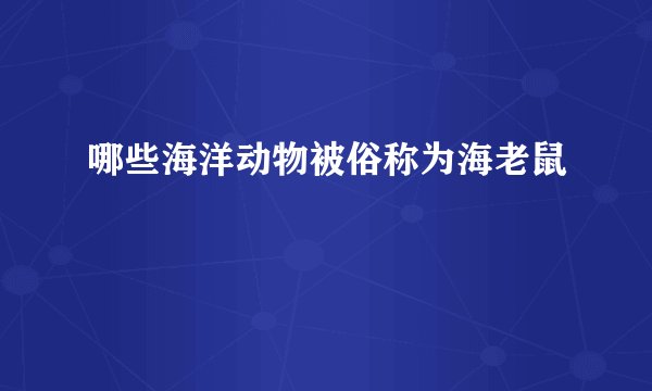 哪些海洋动物被俗称为海老鼠