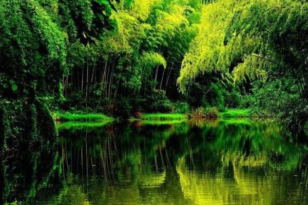 2025蜀南竹海风景区门票价格多少