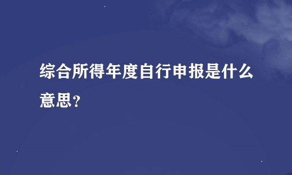综合所得年度自行申报是什么意思？