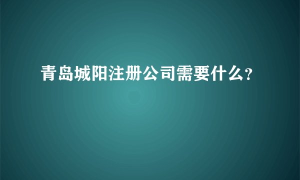 青岛城阳注册公司需要什么？