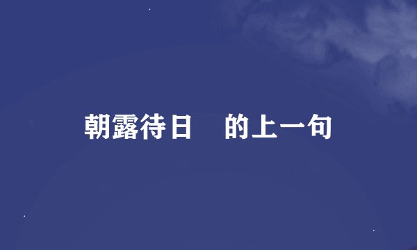 朝露待日晞的上一句