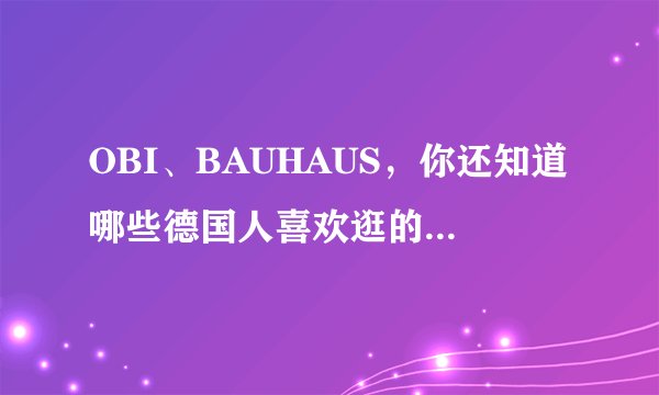 OBI、BAUHAUS，你还知道哪些德国人喜欢逛的建材商超？