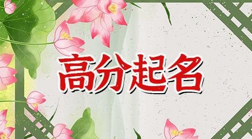 杨朵朵-取这个名字怎么样，分数高不高？