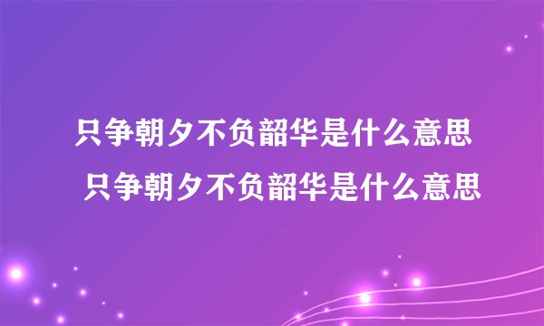 只争朝夕不负韶华是什么意思 只争朝夕不负韶华是什么意思
