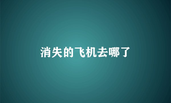 消失的飞机去哪了