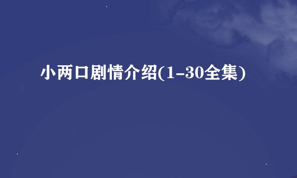 小两口剧情介绍(1-30全集)