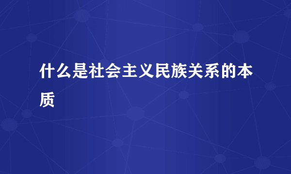 什么是社会主义民族关系的本质