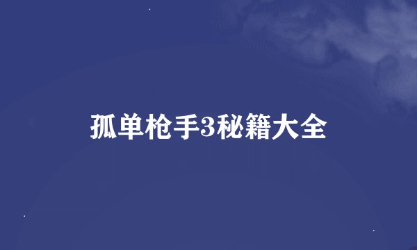 孤单枪手3秘籍大全
