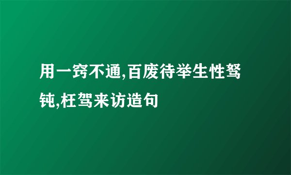 用一窍不通,百废待举生性驽钝,枉驾来访造句
