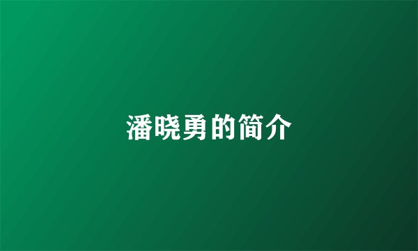 潘晓勇的简介
