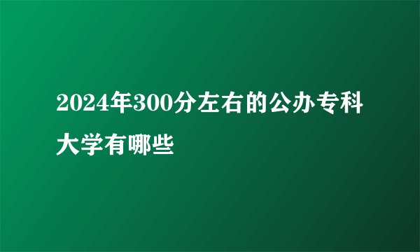 2024年300分左右的公办专科大学有哪些