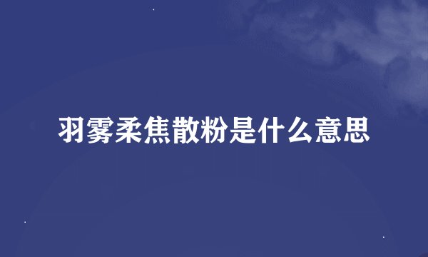 羽雾柔焦散粉是什么意思