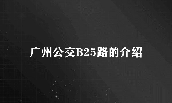 广州公交B25路的介绍