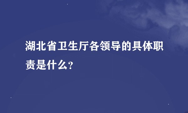 湖北省卫生厅各领导的具体职责是什么？