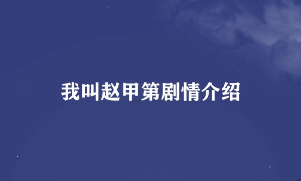 我叫赵甲第剧情介绍